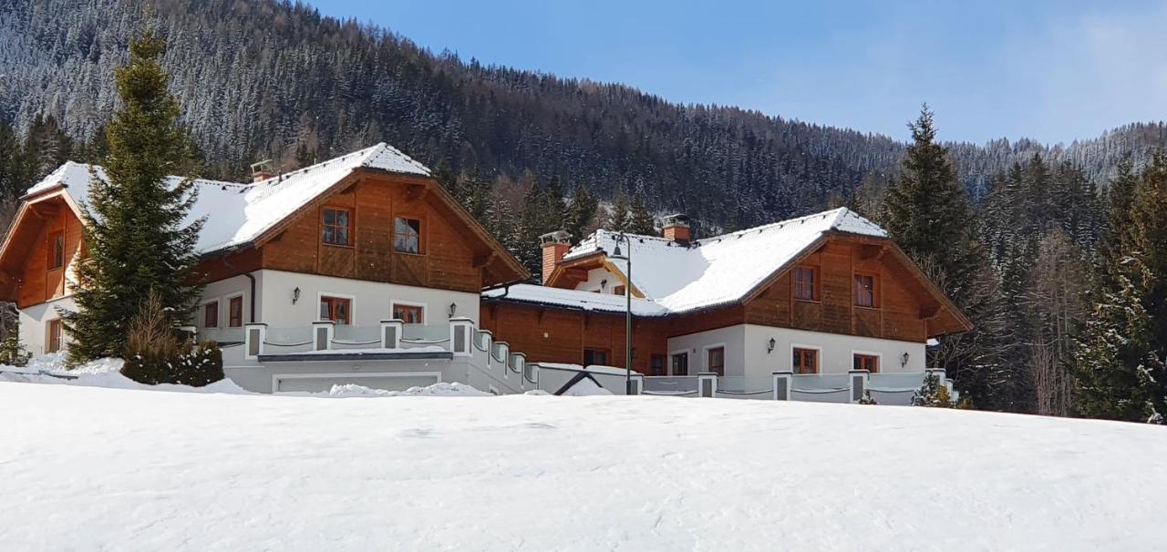 Ferienhaus Alpenblick Krakauschatten Exterior photo
